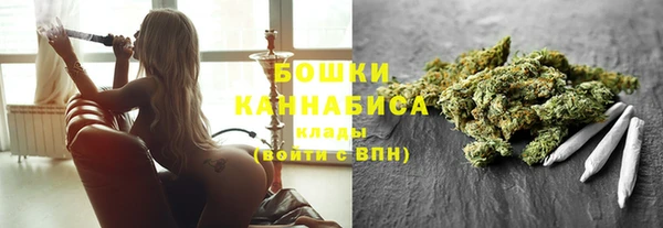 ПСИЛОЦИБИНОВЫЕ ГРИБЫ Белокуриха