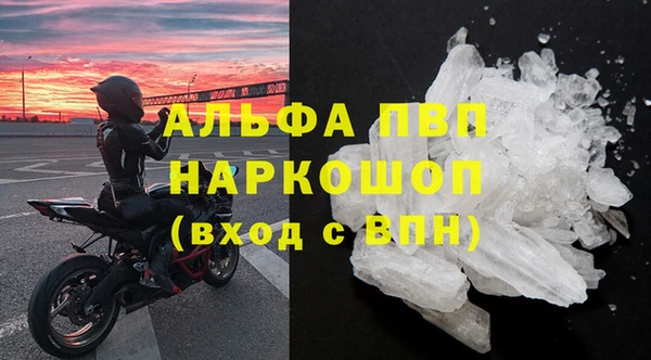 ПСИЛОЦИБИНОВЫЕ ГРИБЫ Белокуриха