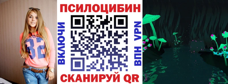 Псилоцибиновые грибы Magic Shrooms  купить наркотики сайты  Будённовск 